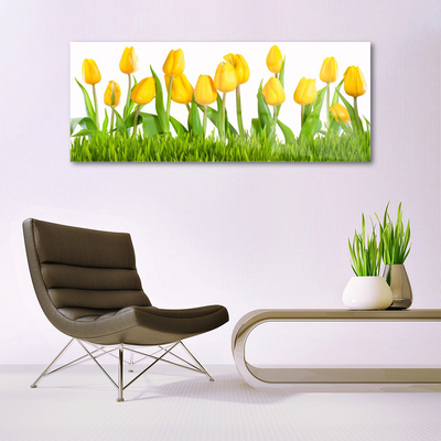 Acrylglasbilder Tulpen Pflanzen