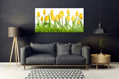 Acrylglasbilder Tulpen Pflanzen