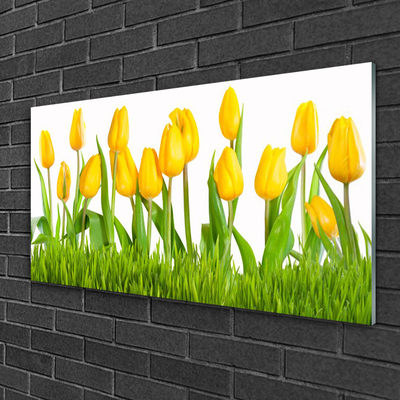 Acrylglasbilder Tulpen Pflanzen