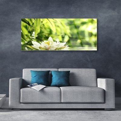 Acrylglasbilder Blume Blätter Pflanzen