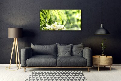 Acrylglasbilder Blume Blätter Pflanzen
