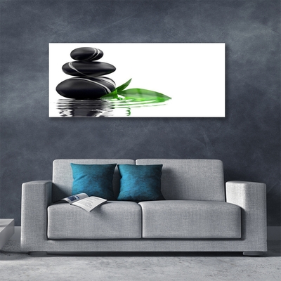 Acrylglasbilder Steine Blätter Wasser Kunst