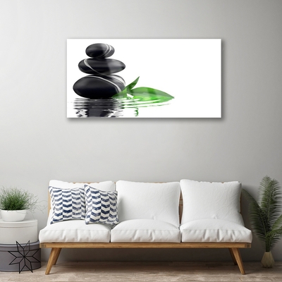 Acrylglasbilder Steine Blätter Wasser Kunst