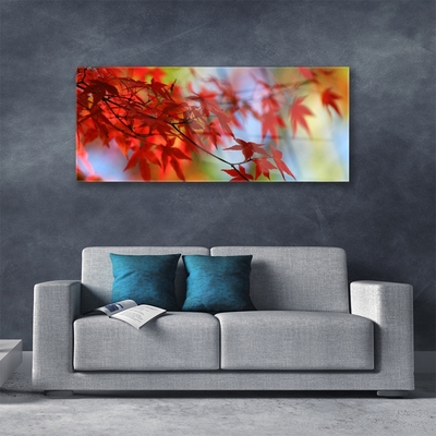 Acrylglasbilder Blätter Natur