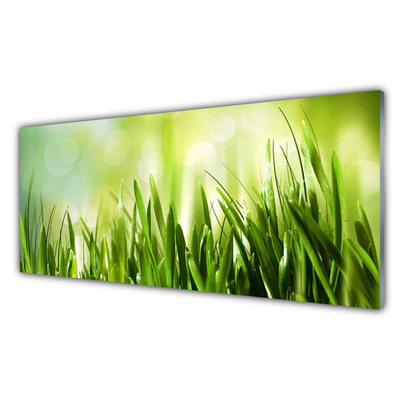 Acrylglasbilder Gras Natur