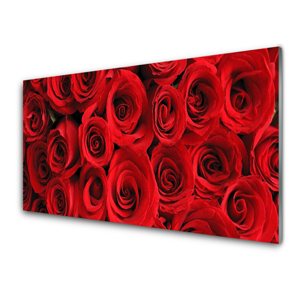 Acrylglasbilder Roses Pflanzen