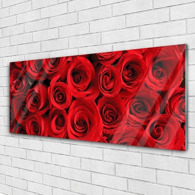 Acrylglasbilder Roses Pflanzen