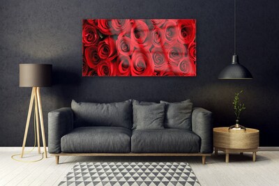 Acrylglasbilder Roses Pflanzen