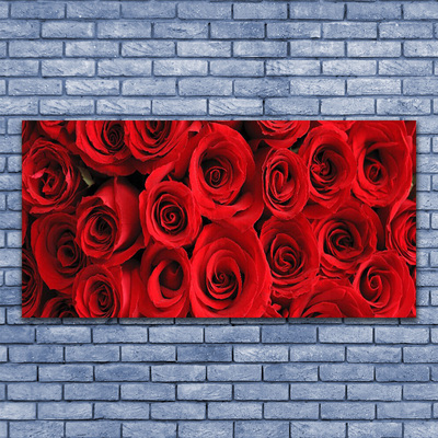 Acrylglasbilder Roses Pflanzen