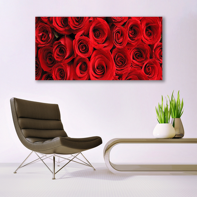 Acrylglasbilder Roses Pflanzen