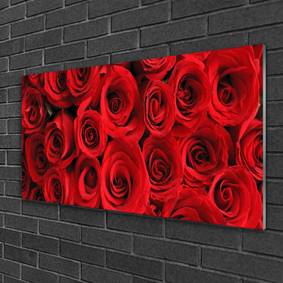 Acrylglasbilder Roses Pflanzen