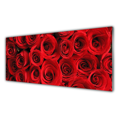 Acrylglasbilder Roses Pflanzen