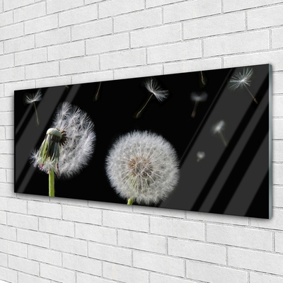 Acrylglasbilder Pusteblume Pflanzen