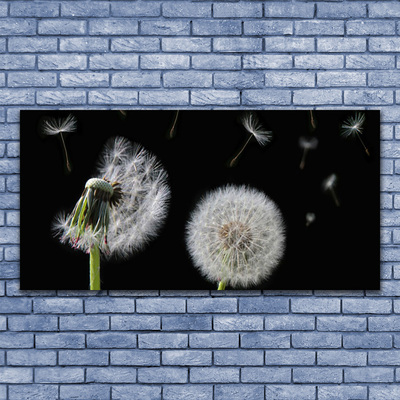 Acrylglasbilder Pusteblume Pflanzen