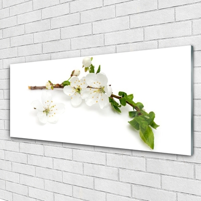 Acrylglasbilder Blumen Zweig Natur