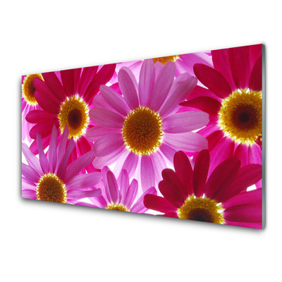 Acrylglasbilder Blumen Pflanzen