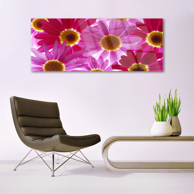 Acrylglasbilder Blumen Pflanzen