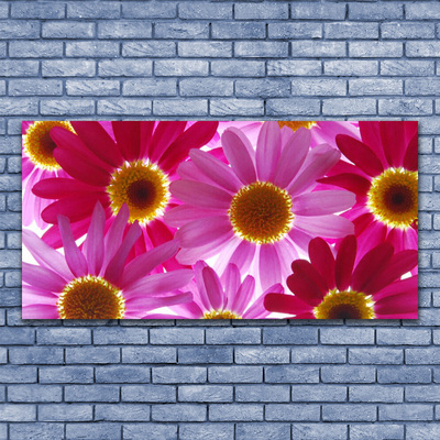 Acrylglasbilder Blumen Pflanzen