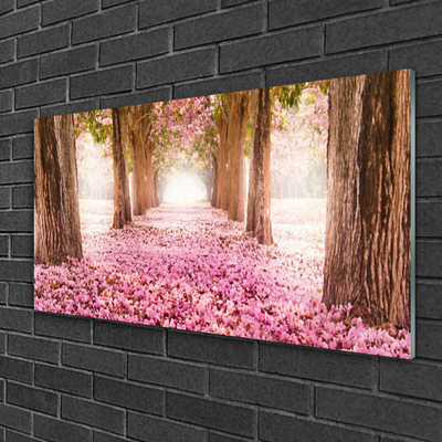 Acrylglasbilder Fußpfad Baumstämme Natur