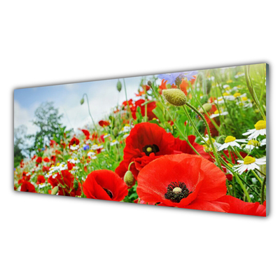 Acrylglasbilder Blumen Natur