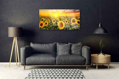 Acrylglasbilder Sonnenblumen Pflanzen