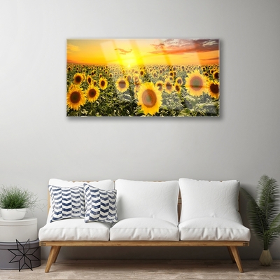 Acrylglasbilder Sonnenblumen Pflanzen