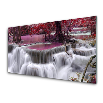 Acrylglasbilder Watterfall Baum Natur