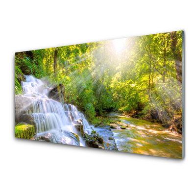 Acrylglasbilder Wasserfall Wald Natur