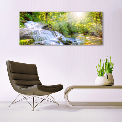 Acrylglasbilder Wasserfall Wald Natur