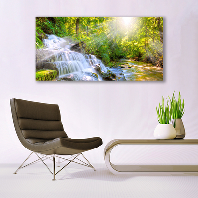 Acrylglasbilder Wasserfall Wald Natur