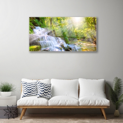 Acrylglasbilder Wasserfall Wald Natur