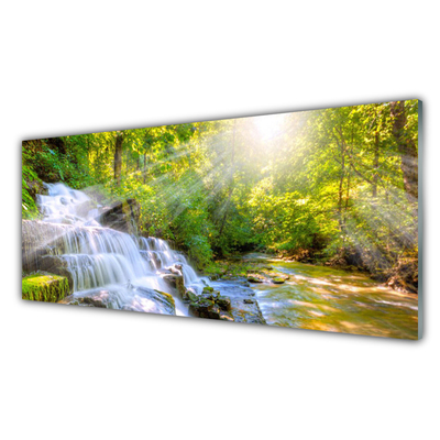 Acrylglasbilder Wasserfall Wald Natur