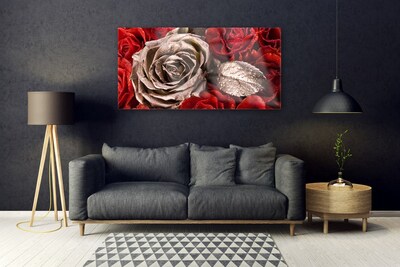 Acrylglasbilder Roses Pflanzen