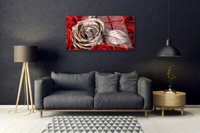Acrylglasbilder Roses Pflanzen