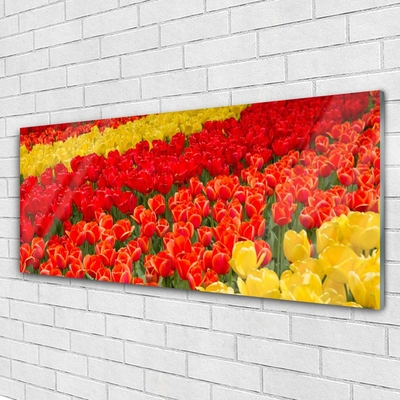 Acrylglasbilder Tulpen Pflanzen