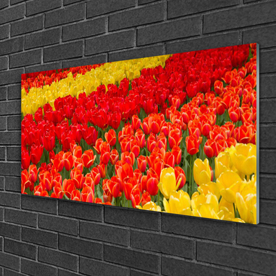 Acrylglasbilder Tulpen Pflanzen