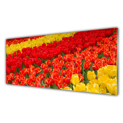 Acrylglasbilder Tulpen Pflanzen