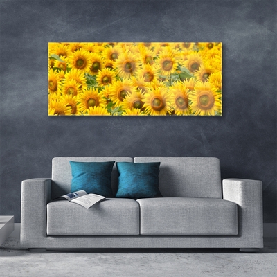 Acrylglasbilder Sonnenblumen Pflanzen