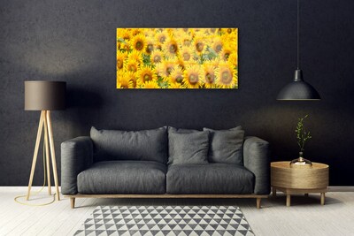 Acrylglasbilder Sonnenblumen Pflanzen