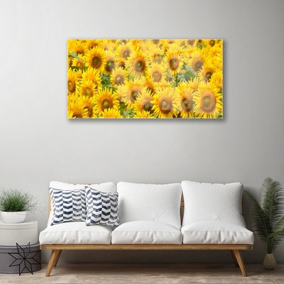 Acrylglasbilder Sonnenblumen Pflanzen