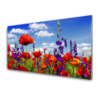 Acrylglasbilder Tulpen Natur