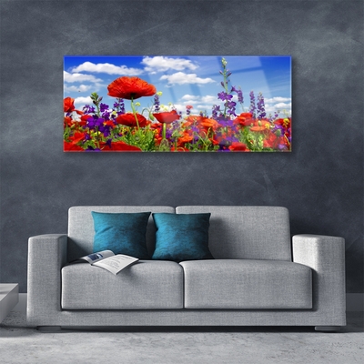 Acrylglasbilder Tulpen Natur