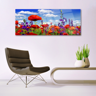 Acrylglasbilder Tulpen Natur