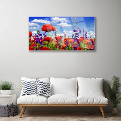 Acrylglasbilder Tulpen Natur