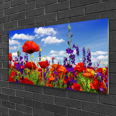 Acrylglasbilder Tulpen Natur