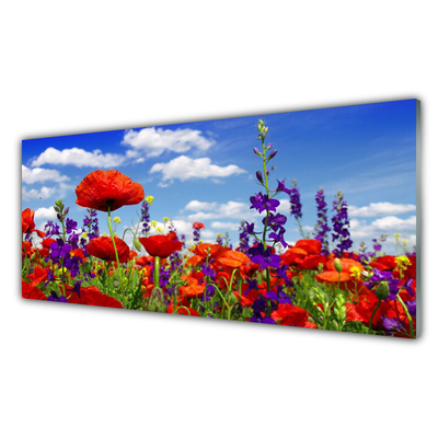 Acrylglasbilder Tulpen Natur