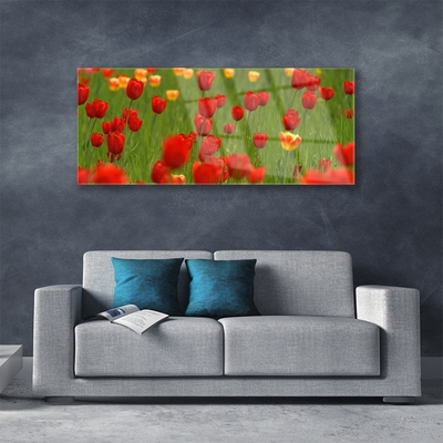 Acrylglasbilder Tulpen Natur