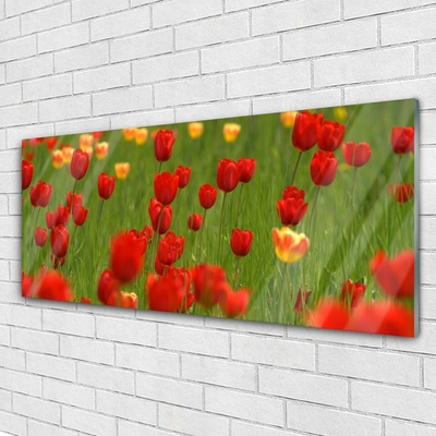 Acrylglasbilder Tulpen Natur