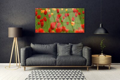 Acrylglasbilder Tulpen Natur