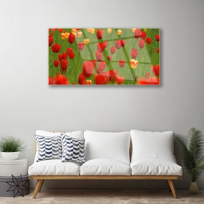 Acrylglasbilder Tulpen Natur